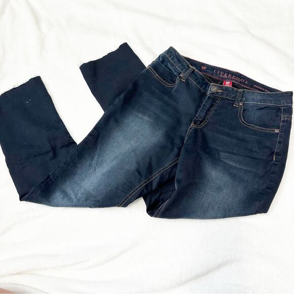 Liverpool jeans company Sadie straight Jeans blue denim stretch size 6P - Picture 1 of 9